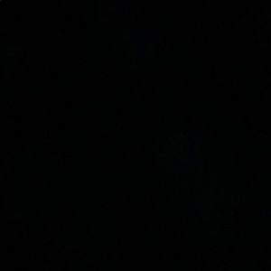 Meet your Posher, Arden